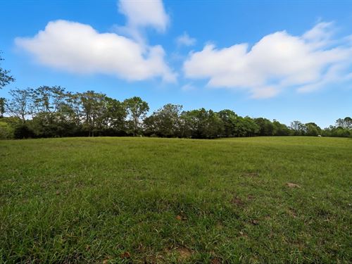 64.5 Acres, Fenced Tennessee Far : Sparta : White County : Tennessee