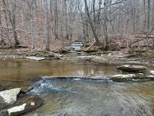 566 +/- Acres : Tompkinsville : Monroe County : Kentucky