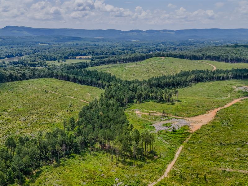 Back Valley Tract 8 : Lyerly : Chattooga County : Georgia