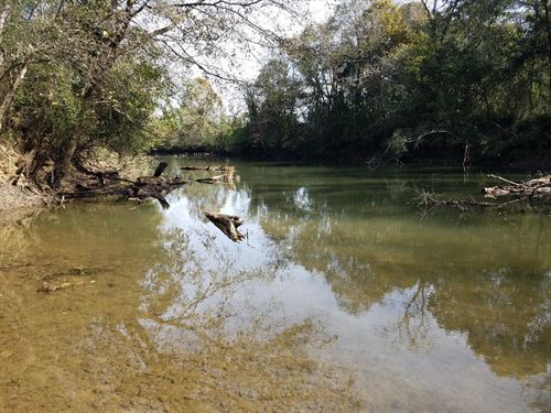 Sequatchie River, Pasture, Woods : Whitwell : Marion County : Tennessee