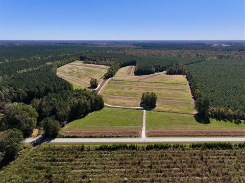 135.25 Acres of Agricultural, Timbe : Grimesland : Pitt County : North Carolina