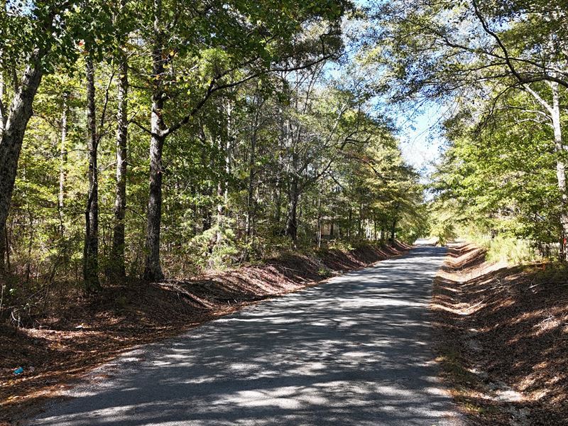 18 Wooded Ac. Sand Rock : Sand Rock : Cherokee County : Alabama