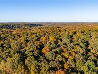 Antioch Rd 40 : Cord : Independence County : Arkansas