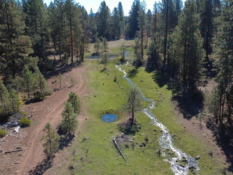 Own A Piece of History : Klamath Falls : Klamath County : Oregon