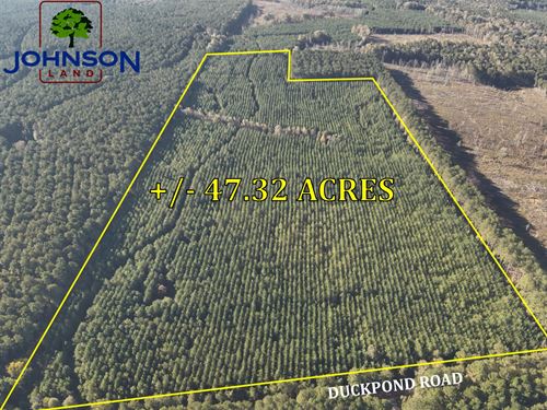 Duckpond Tract : Lexington : Oglethorpe County : Georgia