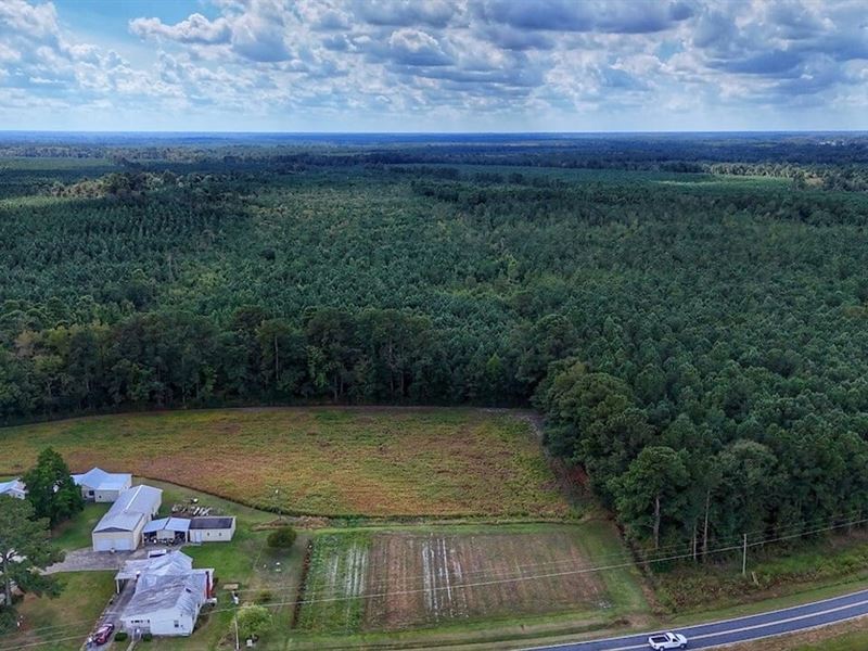 81 Acres of Recreational Land : Pink Hill : Lenoir County : North Carolina