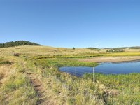 14.2 Acres in Badger Creek Ranch : Hartsel : Park County : Colorado