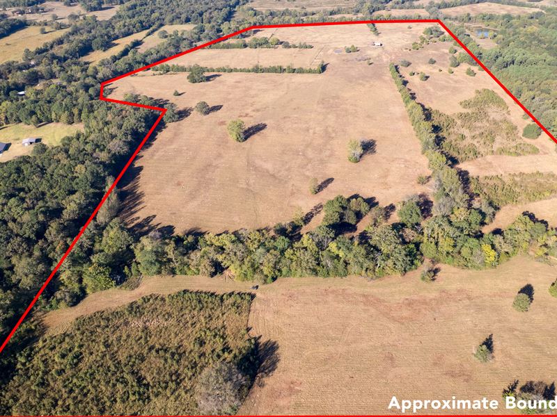 Prime Land Opportunity 140 Acres : Mount Pleasant : Titus County : Texas