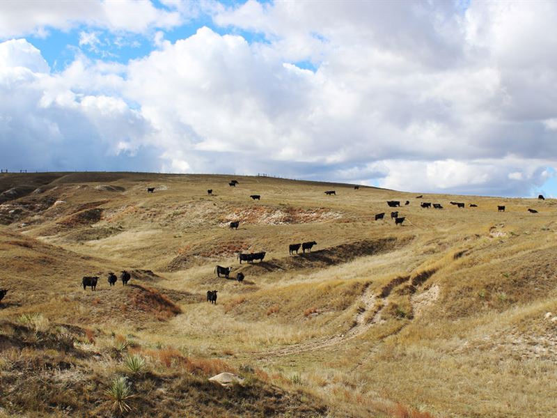 BX Ranch-Ne : Hemingford : Box Butte County : Nebraska