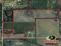 44 Acres / V/L S 350 W North Ju : North Judson : Starke County : Indiana