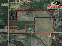 64 Acres / S 350 E North Judson : North Judson : Starke County : Indiana