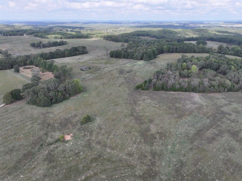 139 Acres of Pasture with 4 Ponds : Caulfield : Ozark County : Missouri