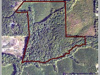 Asa Cash Road Lot 3 : Bremen : Haralson County : Georgia