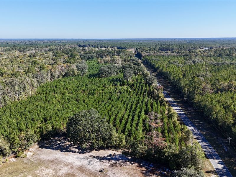 59 Acres, Country Living Retreat : Nahunta : Brantley County : Georgia