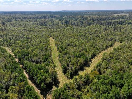 276 Acres in Attala County, MS : Kosciusko : Attala County : Mississippi