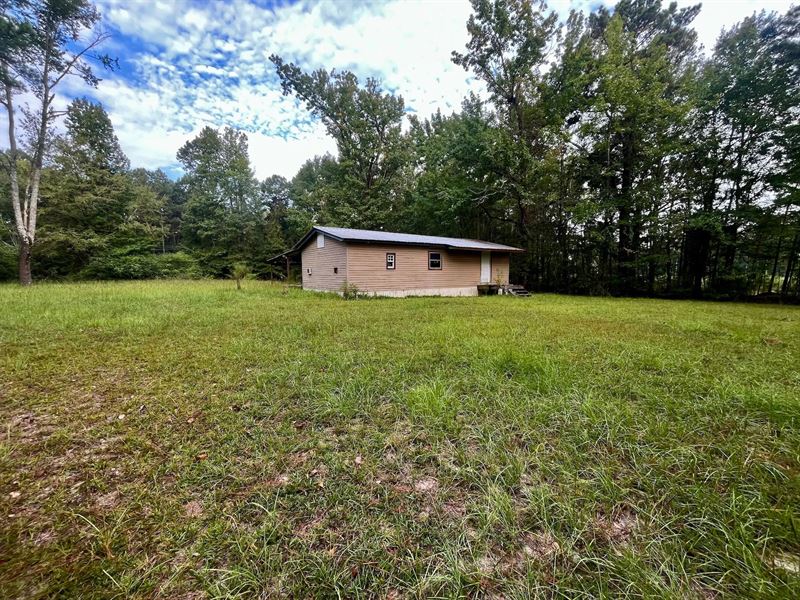 125 Acres with a Camp in Union Pari : Lillie : Union Parish : Louisiana