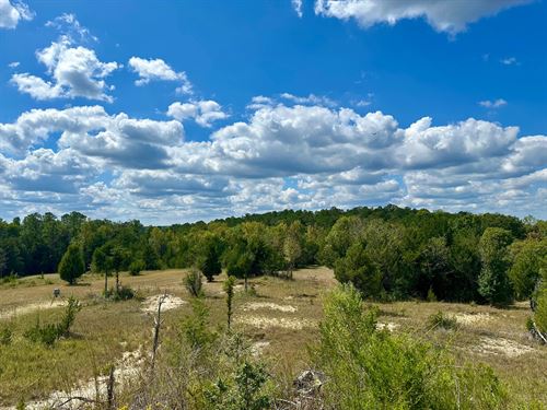 100.97 Acres in Dallas County, AL : Minter : Dallas County : Alabama
