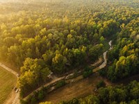 125 Acres With a Tiny Home in Leake : Carthage : Leake County : Mississippi