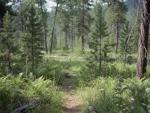 19.95 Acres in Deer Lodge County MT : Anaconda : Deer Lodge County : Montana