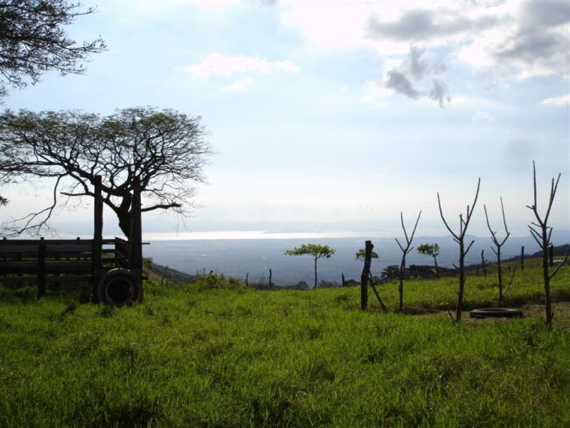 Blue Horizon Farm : Montes De Oro : Costa Rica