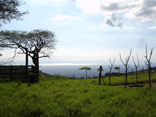 Blue Horizon Farm : Montes De Oro : Costa Rica