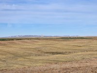 Keim Crp Auction : Bridgeport : Morrill County : Nebraska