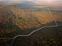 229 Acres, Bengal Road, Oklahoma : Red Oak : Latimer County : Oklahoma