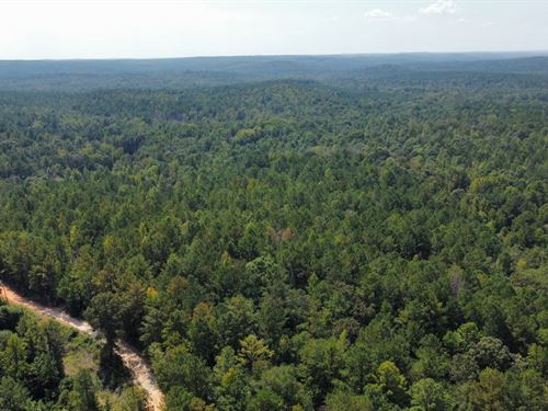 23 Acres Tallapoosa County, AL : Camp Hill : Tallapoosa County : Alabama