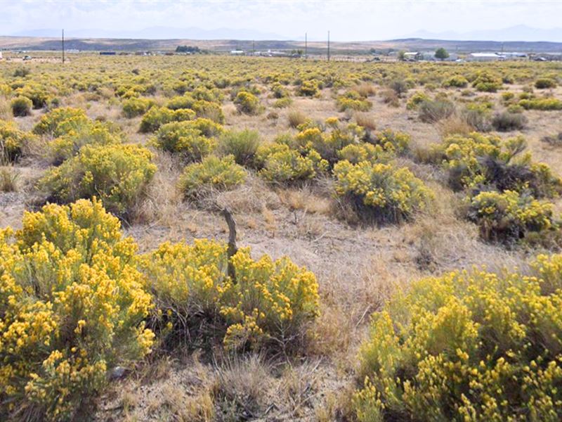 Build, Camp, Go Off-Grid, 10 Acres : Elko : Elko County : Nevada