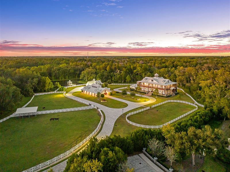 Serella Stables : Tarpon Springs : Pinellas County : Florida