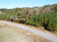 92 Acres in Cleburne County : Ranburne : Cleburne County : Alabama