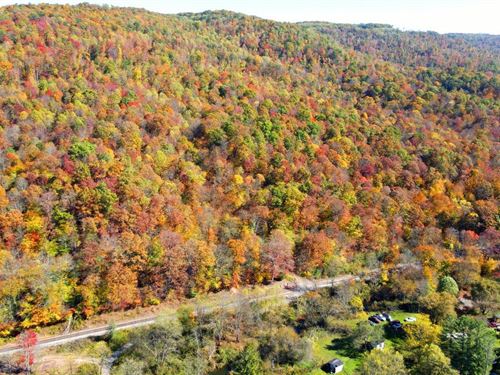 Large Mountainland Tract : Meadow Bridge : Fayette County : West Virginia