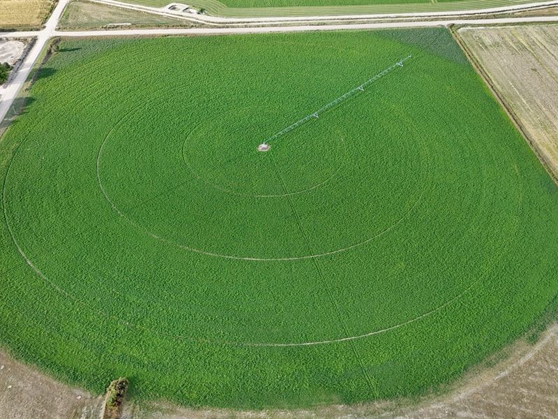 Scottsbluff County Irrigated : Gering : Scotts Bluff County : Nebraska