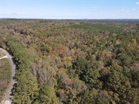 30 Acres, Cragford Community : Cragford : Clay County : Alabama