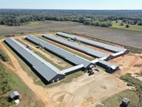 Seldom Rest Breeder Farm : Columbia : Henry County : Alabama