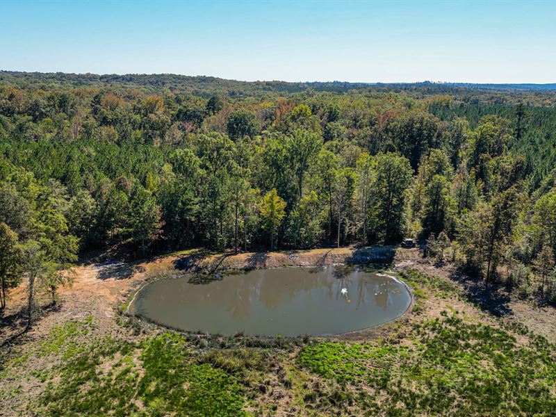 Pond Hills : Irwinton : Wilkinson County : Georgia