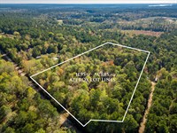 11+ Acres in Madison : Madison : Greene County : Georgia
