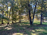 G6 Farms, Tract 4 : Troy : Pike County : Alabama