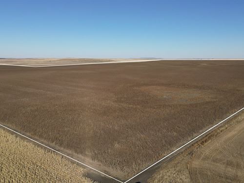 Cedar Creek 712 : Reeder : Adams County : North Dakota