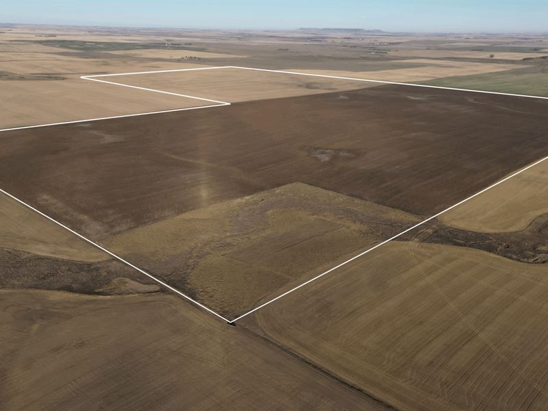 Cedar Creek 478 : Reeder : Hettinger County : North Dakota