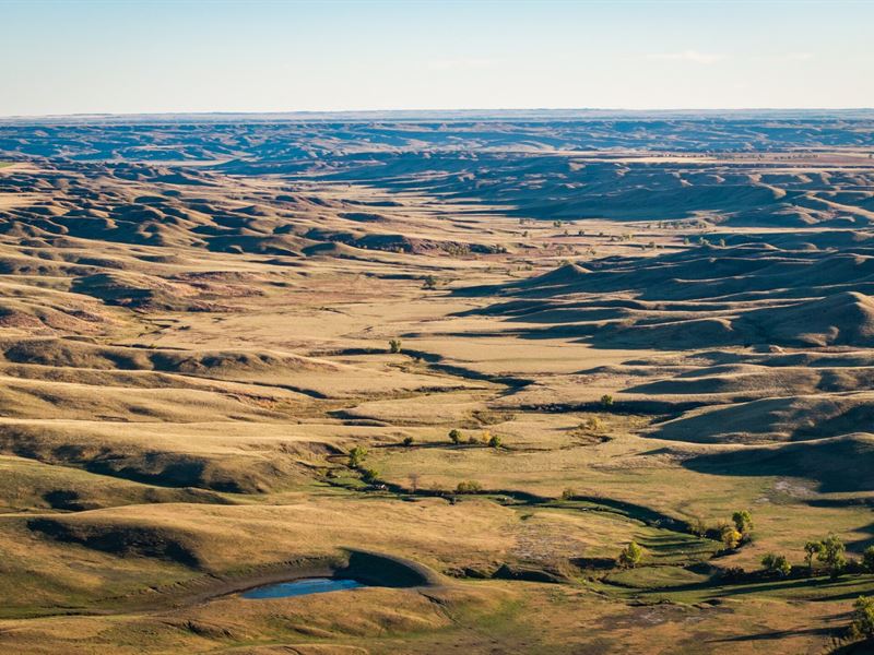 Bonita Springs Ranch Absolute : Enning : Meade County : South Dakota