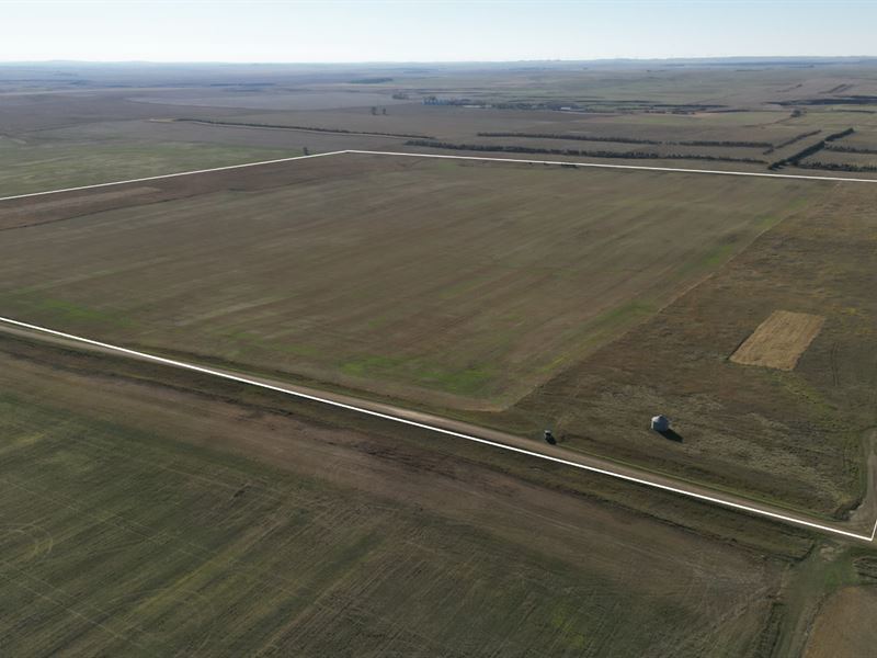 Chanta Peta Quarter : Reeder : Adams County : North Dakota