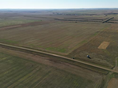 Chanta Peta Quarter : Reeder : Adams County : North Dakota