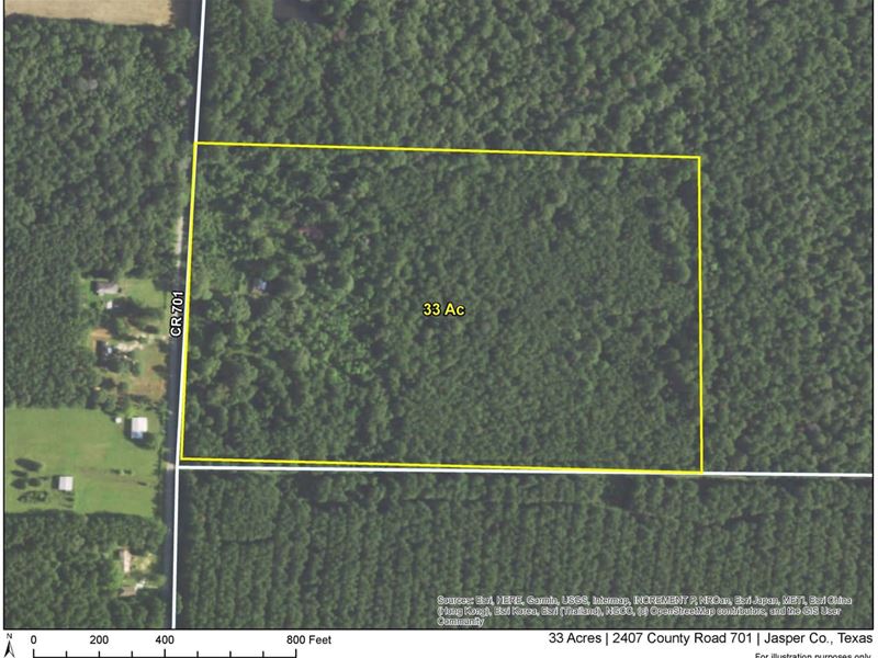 33 Acres, 2407 County Road 701 : Kirbyville : Jasper County : Texas