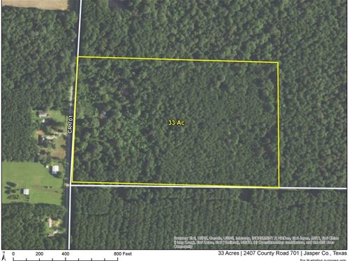 33 Acres, 2407 County Road 701 : Kirbyville : Jasper County : Texas