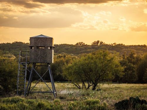 Mt7 Pendleton Pasture : Breckenridge : Stephens County : Texas