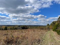 108 Ares of Hunting/Recreational LA : Richland : Laclede County : Missouri