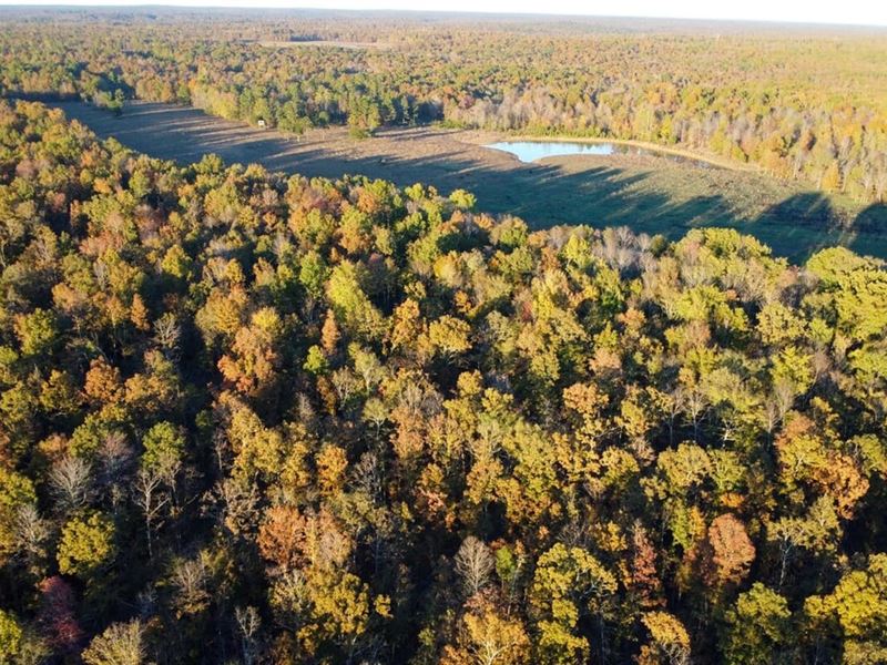 Remarkable 75 AC Property for Sa : Fairdealing : Ripley County : Missouri