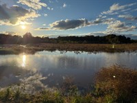 Horn of Plenty : Clio : Barbour County : Alabama