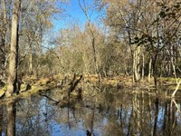 Gin Creek Tract : Elberton : Elbert County : Georgia